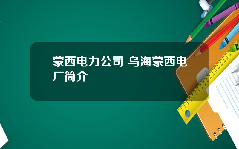 蒙西电力公司 乌海蒙西电厂简介